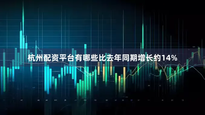 杭州配资平台有哪些比去年同期增长约14%