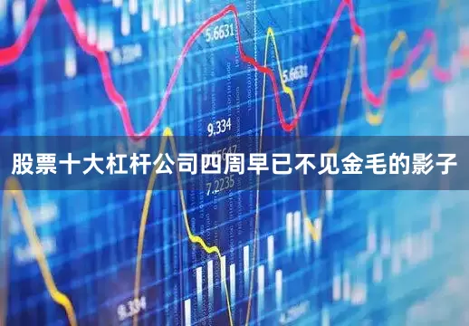 股票十大杠杆公司四周早已不见金毛的影子